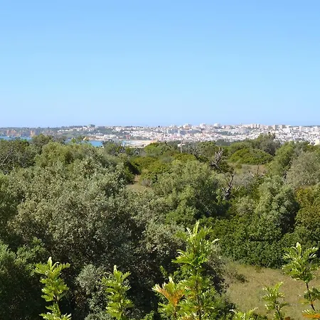 Quinta De Sao Roque *